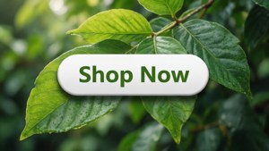 Nature Leaf Button