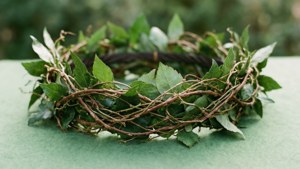 Nature Leaf Tiara