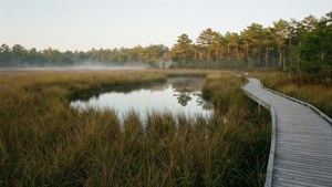Nature Park Marsh