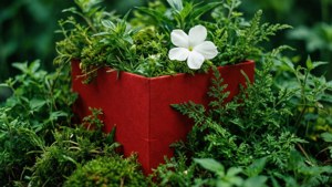 Nature's Gift Box