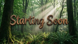 Nature Woods Starting Soon