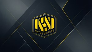 NaVi Minimalist Logo