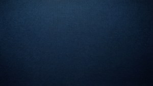 Navy Blue Canvas