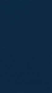 Navy Blue Placeholder
