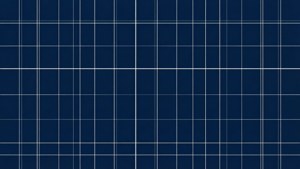 Navy Grid Minimalism