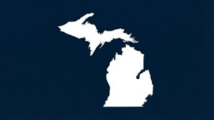 Navy Night Michigan