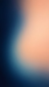 Navy Peach Dream