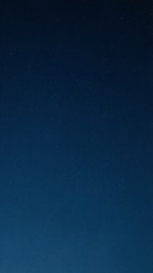 Navy Starry Night
