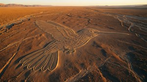 Nazca Hummingbird Geoglyph