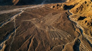 Nazca Lines Hummingbird
