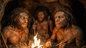 Neanderthal Cave Diorama
