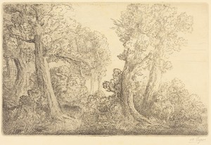 Near the Woods, Veronne (Pres du bois, Veronne)