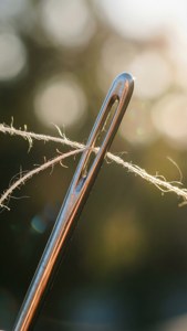 Needle Eye Macro