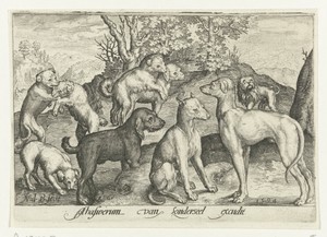 Negen honden