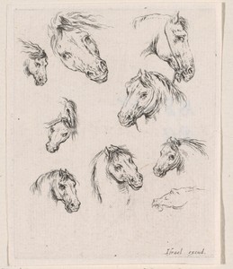 Negen paardenhoofden