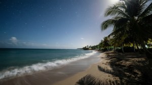Negril Starlight