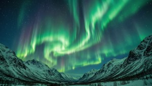 Neon Aurora