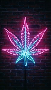 Neon Bud Sign
