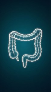 Neon Colon Outline