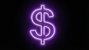 Neon Dollar Sign