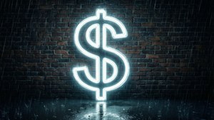 Neon Dollar Sign Cyberpunk
