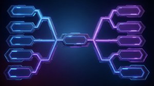 Neon Esports Bracket