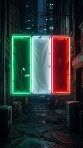 Neon Flag in Alley