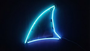 Neon Glow Fin