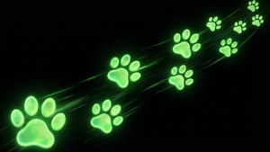 Neon Green Paw Trail