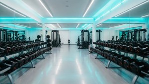 Neon Gym Barbells