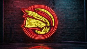 Neon Hawks Logo