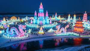 Neon Ice Kingdom