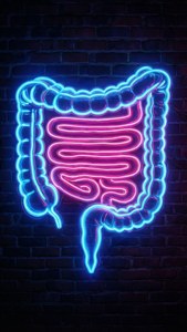 Neon Intestine Sign