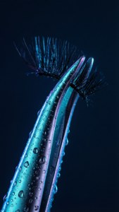 Neon Lash Grip
