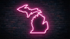 Neon Michigan