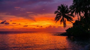 Neon Orange Sunset