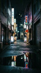 Neon Otaku Alley