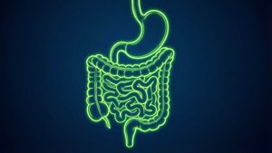 Neon Outline Digestive