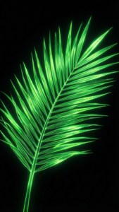 Neon Palm Leaf