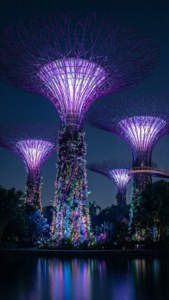Neon Supertrees at Night
