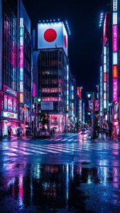Neon Tokyo Flag