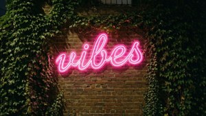 Neon Vibes Sign