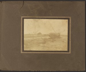[Neptunus Duluth, Grounded]