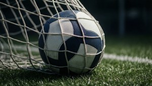 Net and Ball