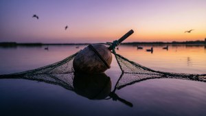 Net Buoy at Twilight
