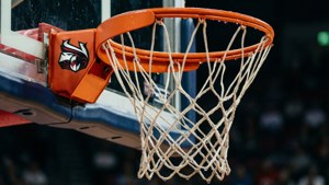 Net Detail with Logo
