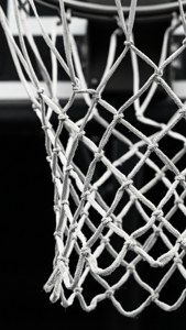 Net Texture