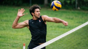 Net Volley