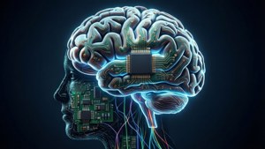 Neural Circuit