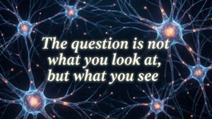 Neural Network Vision